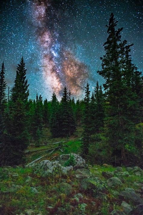 Milky Way Galaxy Hovering Over Dark Timber On A