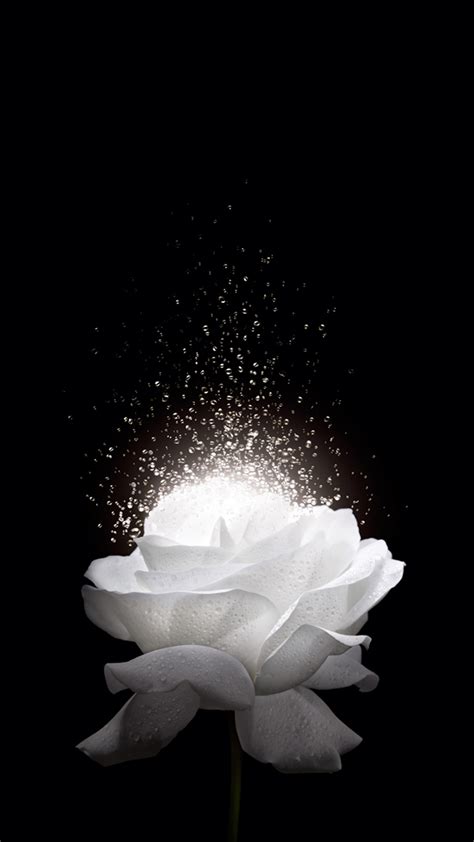 White Rose H5 Background Beautiful Art Romantic Background Image For