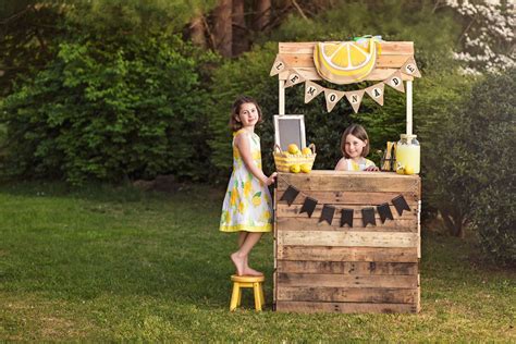 lemonade stand pictures lemonade minis knoxville photographers