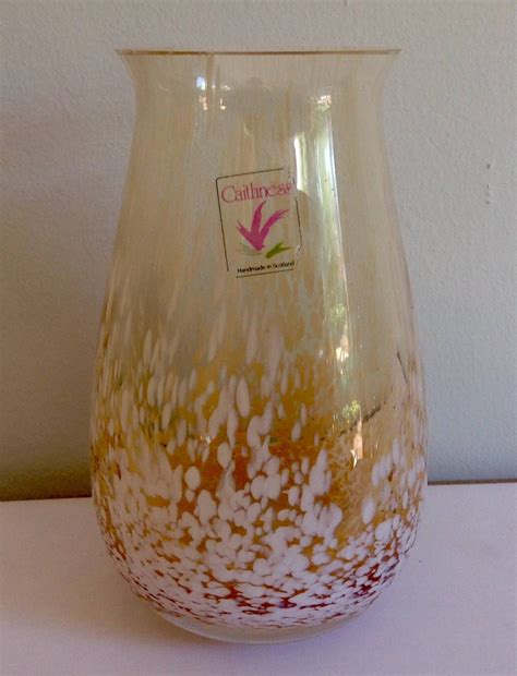 Beautiful Vintage Caithness Glass Vase
