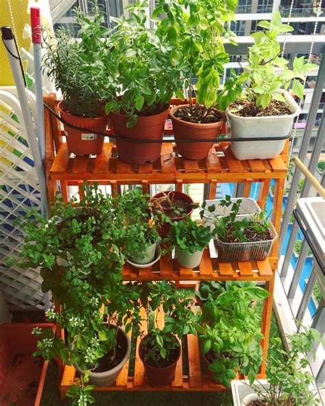This nature's blossom kit offers 4 types of herb seeds to get growing with right away, 4 biodegradable planting pots, compressed soil pellets, and plant labels, along with a nice looking plant stand. 46 Incredibly Simple DIY Herbs Garden Ideas for Kitchen