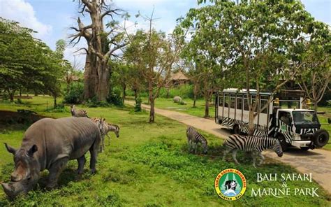 Jadwal Acara Di Taman Safari Bali