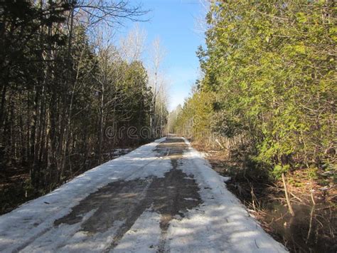 Snow Covered Gravel Road Through Forest In Southern Ontario Canada