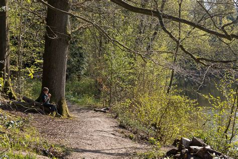 The Benefits Of A Nature Walk For Children Wild About Here
