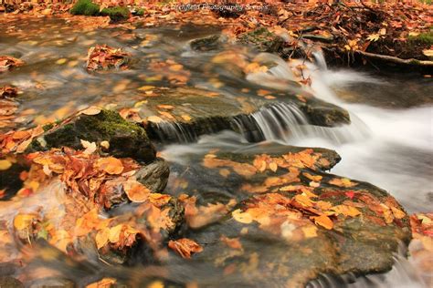 Flowing Autumn River Fall River Litchfield Waterfall
