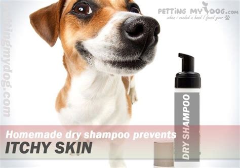 Skin disease is the most common reason dogs visit the veterinarian, and hair loss and scratching are two of the most common manifestations of canine skin disease. Home remedies for Dog itching and losing hair The proven ...