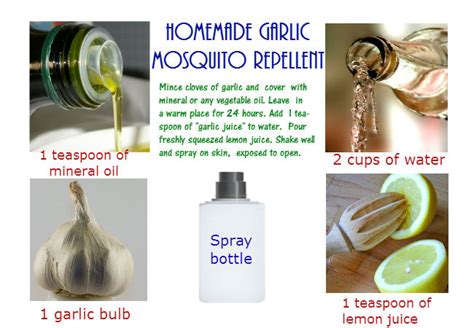Check spelling or type a new query. Make mosquito repellent diy to protect yourself from bites