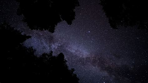 Download Wallpaper 3840x2160 Milky Way Stars Starry Sky Trees Night