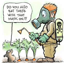 Genetically modified crops could help reverse the decline in yield growth by increasing drought tolerance, nitrogen efficiency, pest companies involved in the genetic modification of crops, such as monsanto, believe that pros and cons of genetically modified foods pages: Pros & Cons - GMO Foods