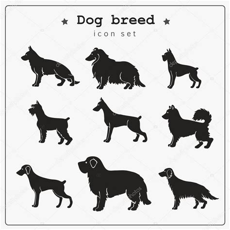 Set Of Dog Breed Icons — Stock Vector © Annareichel 72462745