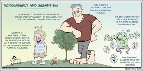 acromegaly vs gigantism medical nursing doodle sketchy illustration vvip pinterest medical