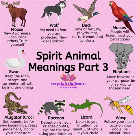 Pin By Slug On Instagram Board 2 Animal Totem Spirit Guides Spirit