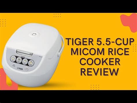 Tiger Jbv A U Cup Uncooked Micom Rice Cooker Review Youtube