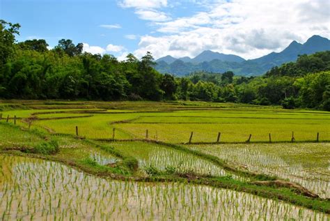 trekking in laos luang prabang laos trekking countryside farmland village the incredibles