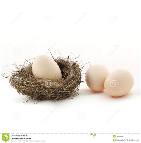 One Egg Inside The Nest And Two Eggs Outside Stock Image Image Of