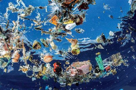 The Amount Of Plastic In Oceans Will Triple Within Seven Years Says