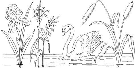 Trumpeter Swan Coloring Page Easy Coloring Page Ideas
