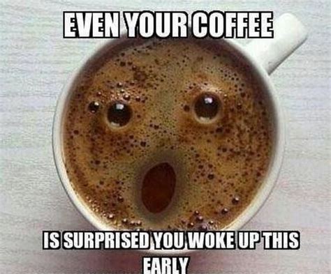 87 Funny Coffee Memes Are What You Need For The Daily Morning Grind