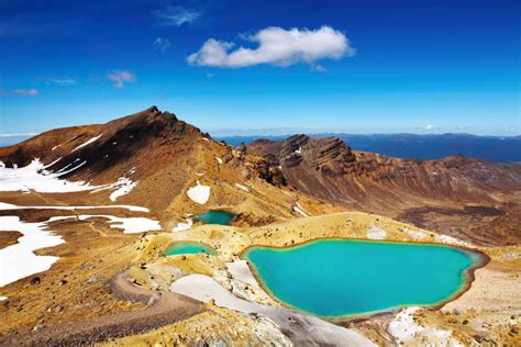 Die 7 Schönsten Nationalparks In Neuseeland Holidayguru