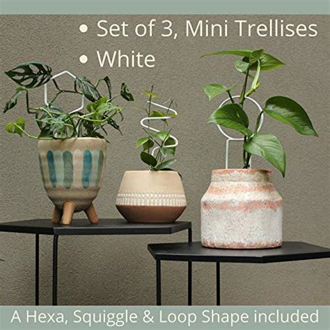 Set Of 3 White Small Trellis For Indoor Potted Plants These Metal