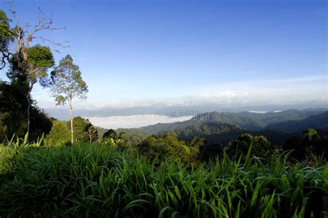 Aerial View Of Morning Mist At Tropical Rainforest Mountain Background