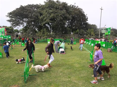 12 Parques En Lima Para Jugar Con Tus Perros Por Horas America Noticias