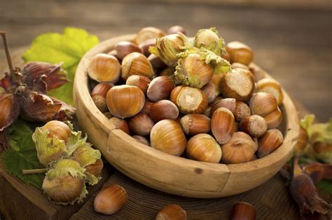 How To Grow Hazelnuts From A Seed Hunker