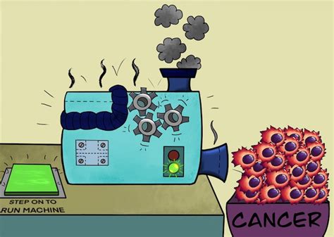 Mitosis is the process by which cells reproduce, and without it cancerous cells wouldn't be able to form tumors and spread through the body. Explain The Process Of Mitosis In A Tissue Culture For Cancer Cells. / Most cells in the human ...