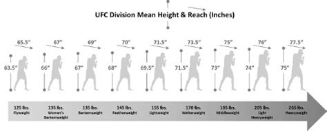 Mma Weight Classes Bantamweight To Heavyweight