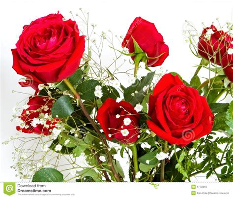 Red Rose And Babys Breath Bouquet Stock Photo Image