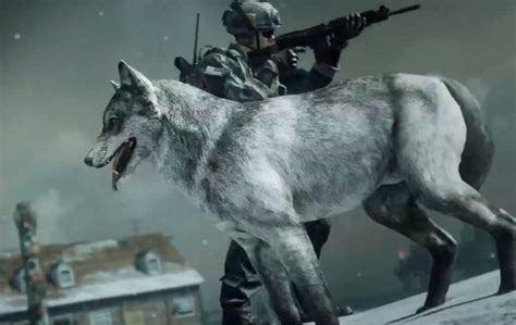 Call Of Duty Wolf Skin Dlc Launches Today Video