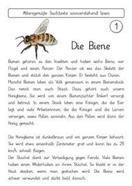 Klasse 5, klasse 6, klasse 7, klasse 8. Sachtexte Insekten - fraumohrsrasselbandes Webseite!