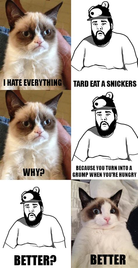 The official grumpy cat brand has a store on zazzle featuring hilarious grumpy cat memes that you can. He was just hungry all along | Funny grumpy cat memes ...