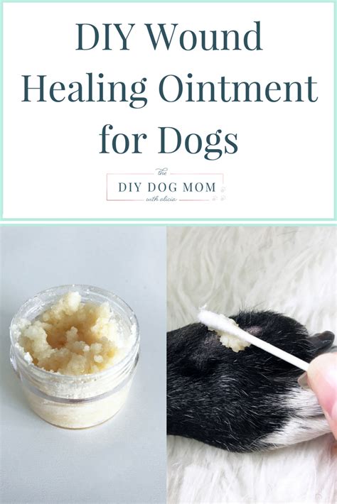 If Your Dog Has A Wound Burn Or Scrape This Healing Cream Can Soothe