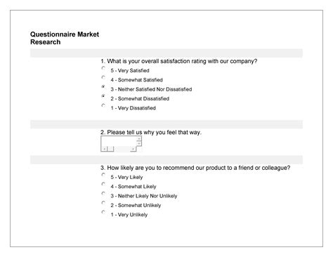 Market Research Questionnaire Template Pulp