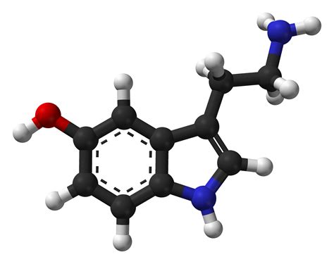 Imagen Serotonina 3d Png Wiki Psique Fandom Powered By Wikia