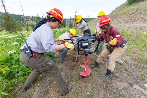 Yellowstone Recruiting For Youth Conservation Corps Program