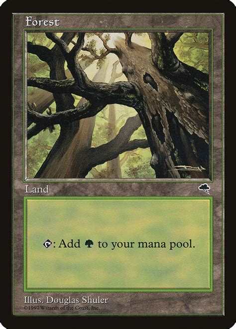 Forest · Tempest Tmp 347 · Scryfall Magic The Gathering Search