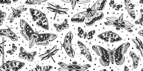 Moth Butterfly Pattern Seamless Moon Boho Vector Celestial Magic