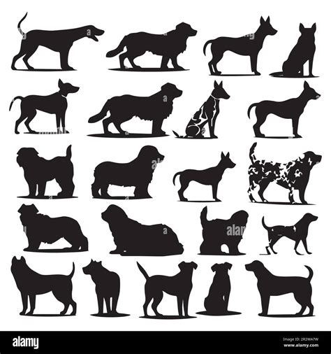 A Collection Of Dogs With Different Breeds Silhouette Vectors Stock