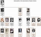 Haemophilia_of_Queen_Victoria_-_family_tree_by_shakko - History of ...