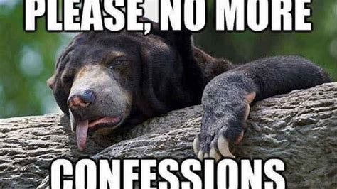 35 Of The Best Confession Bear Meme Pictures That Will Make You Want To