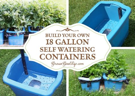 Build Your Own 18 Gallon Self Watering Containers
