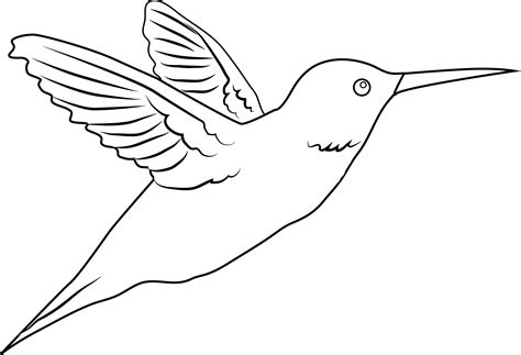 Hummingbird Coloring Page Free Clip Art