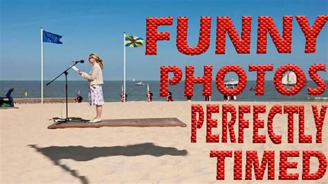 Funny Perfectly Timed Photos Ii Funny Collection Youtube