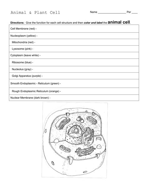 Maybe you would like to learn more about one of these? Animal & Plant Cell Worksheet