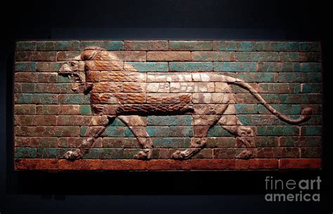 Mesopotamian Lion Mosaic 2021 Photograph By Dean Triolo Fine Art America