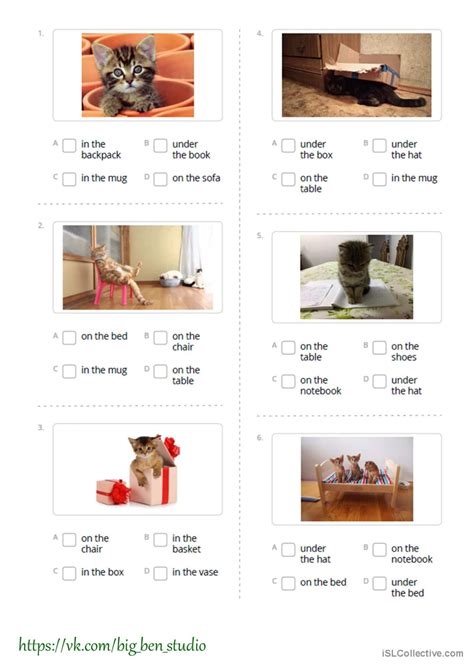 Cats Prepositions Of Place In O English Esl Worksheets Pdf And Doc
