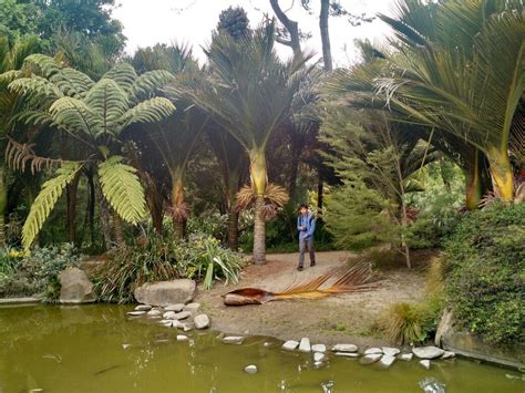 Its 55 acres (22.3 ha) represents nearly 9,000 different kinds of plants from around the world, with particular focus on magnolia species, high elevation palms, conifers. Botanical Gardens in Golden Gate Park. July 2017 | Golden ...