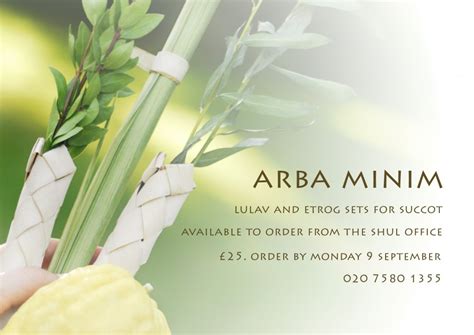Purchase Your Lulav And Etrog Online Here The Central Synagogue London